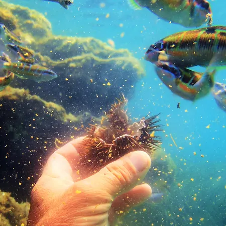 La Bussola Calabria Hotel