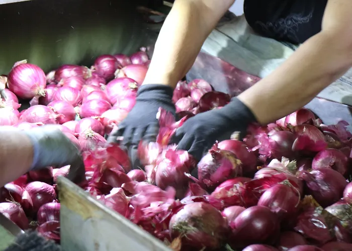 Hotel La Bussola Calabria 3*